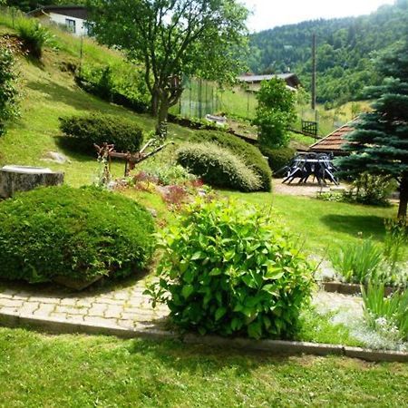 Gite Chaleureux A La Bresse Avec Terrasse, Barbecue Et Proche Des Pistes De Ski - Fr-1-589-189 Exteriör bild