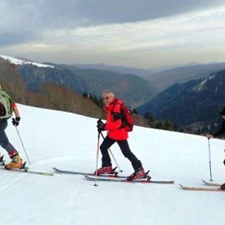 Gite Chaleureux A La Bresse Avec Terrasse, Barbecue Et Proche Des Pistes De Ski - Fr-1-589-189 Exteriör bild