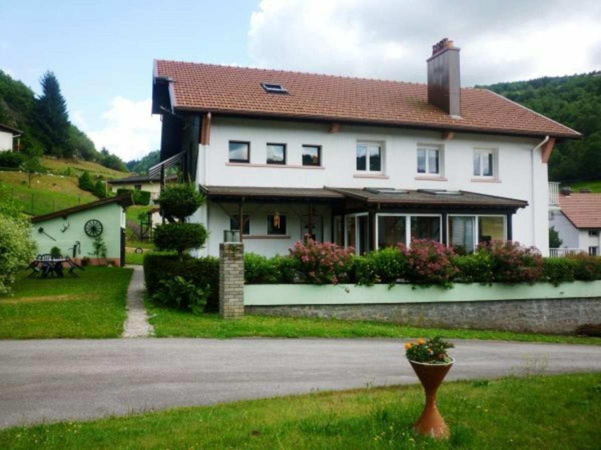 Gite Chaleureux A La Bresse Avec Terrasse, Barbecue Et Proche Des Pistes De Ski - Fr-1-589-189 Exteriör bild