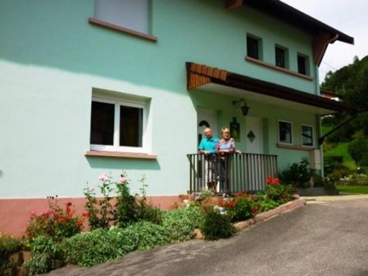 Gite Chaleureux A La Bresse Avec Terrasse, Barbecue Et Proche Des Pistes De Ski - Fr-1-589-189 Exteriör bild
