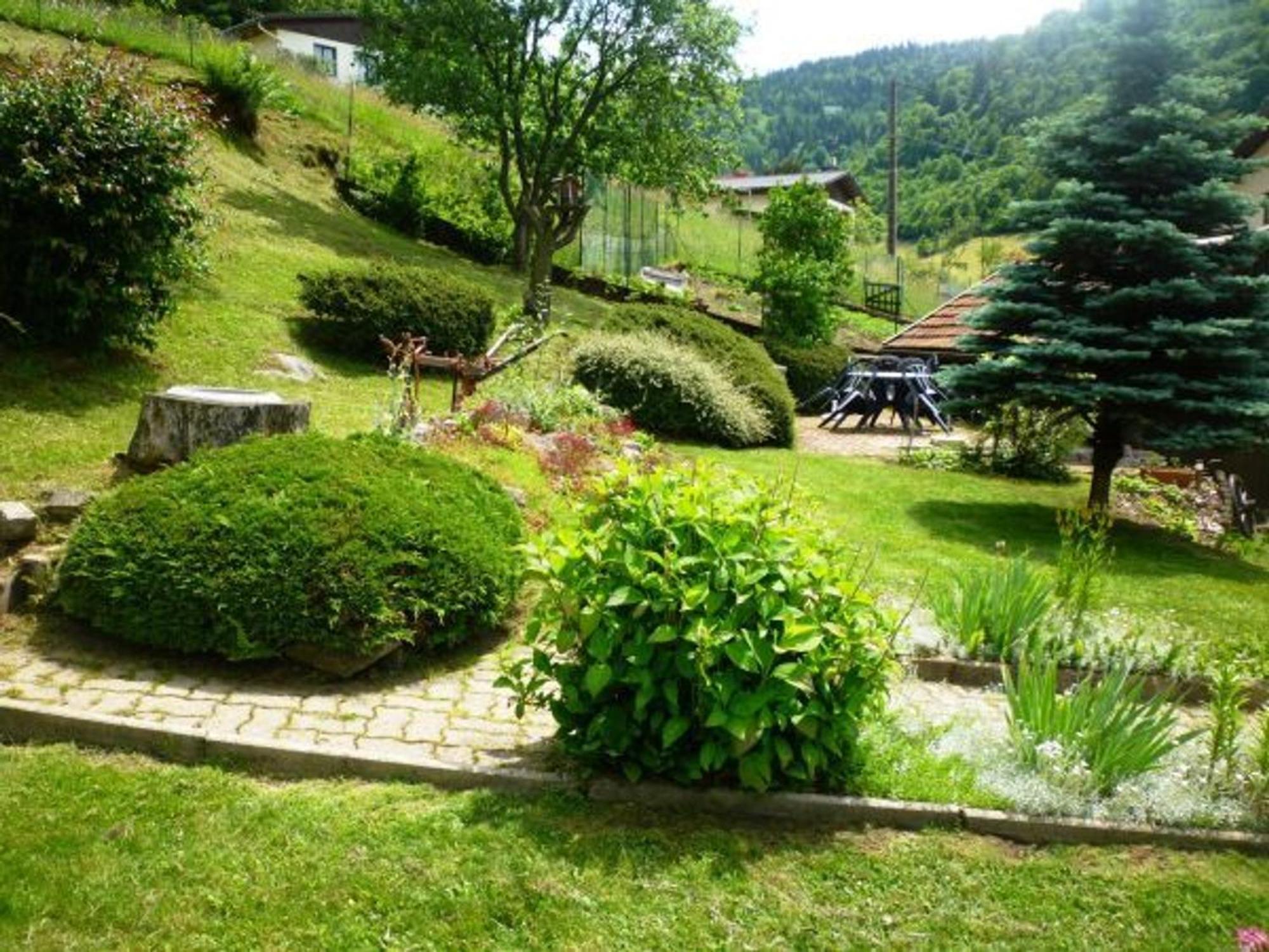 Gite Chaleureux A La Bresse Avec Terrasse, Barbecue Et Proche Des Pistes De Ski - Fr-1-589-189 Exteriör bild