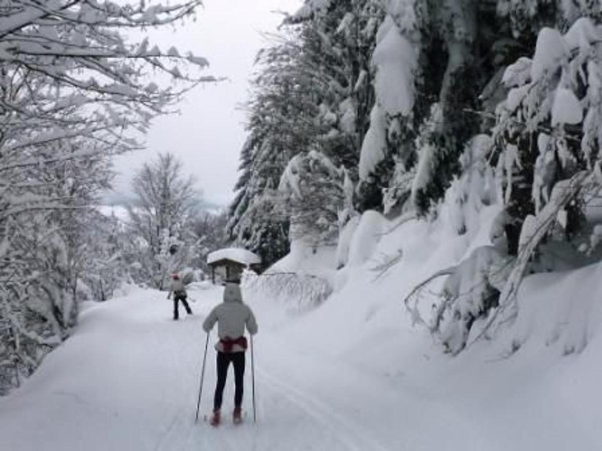 Gite Chaleureux A La Bresse Avec Terrasse, Barbecue Et Proche Des Pistes De Ski - Fr-1-589-189 Exteriör bild