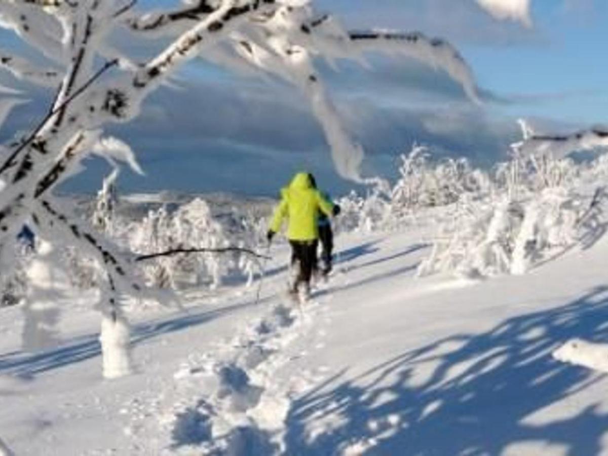 Gite Chaleureux A La Bresse Avec Terrasse, Barbecue Et Proche Des Pistes De Ski - Fr-1-589-189 Exteriör bild