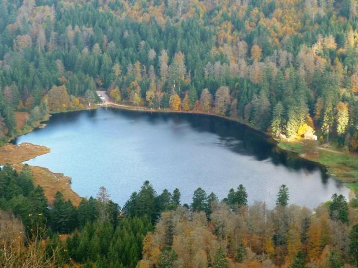 Gite Chaleureux A La Bresse Avec Terrasse, Barbecue Et Proche Des Pistes De Ski - Fr-1-589-189 Exteriör bild